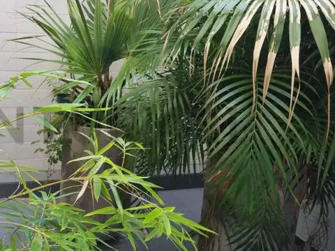 Departamento en Venta 2025 años