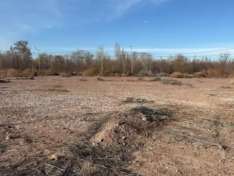 Terreno en Venta en Centenario, USD 65.000