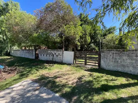 Calle Cuareim entre Carlos Gardel y Tomás Gomensoro 100