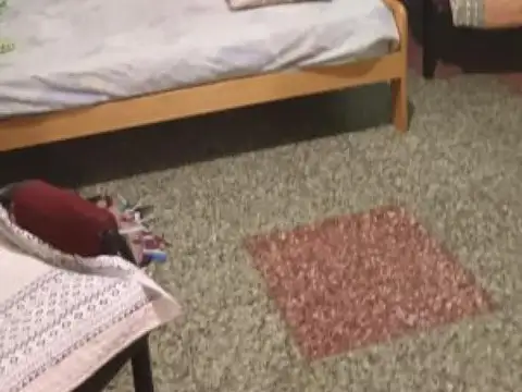 Depto Tipo Casa en Venta 20 años