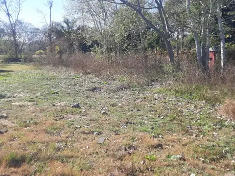 Terreno en Venta 40,89  mts Fondo