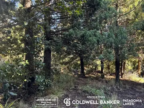 VENTA Lote  San Martin de los Andes 2500m2 subdivisible con vistas B° Handel