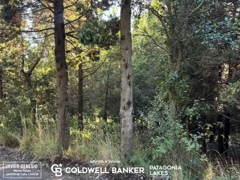 Terreno en Venta en San Martin De Los Andes, USD 75.000