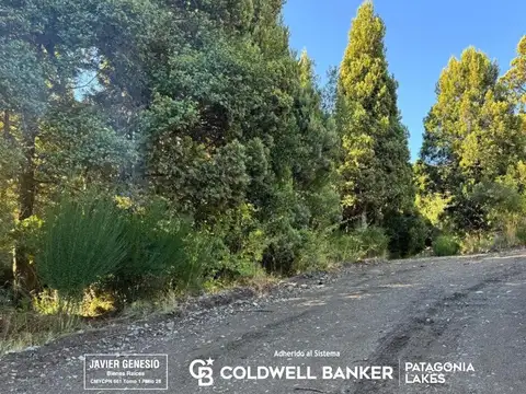 Terreno en Venta en San Martin De Los Andes, USD 75.000