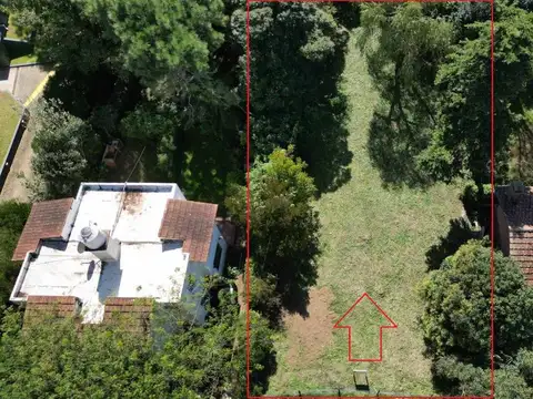 Coronel de Marina L. Rosales 200