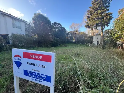 Coronel de Marina L. Rosales 200