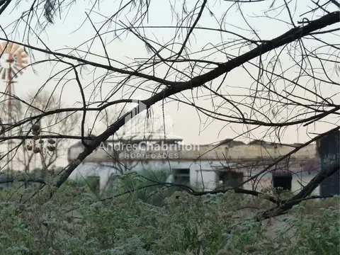 Osvaldo Magnasco 100