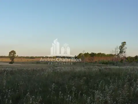 Campo De 50 Ha. En Zona De Osvaldo Magnasco