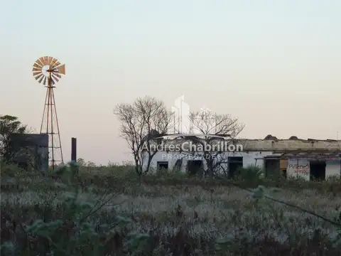 Osvaldo Magnasco 100