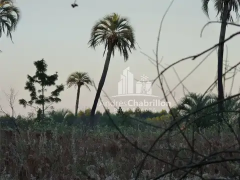 Campo De 50 Ha. En Zona De Osvaldo Magnasco