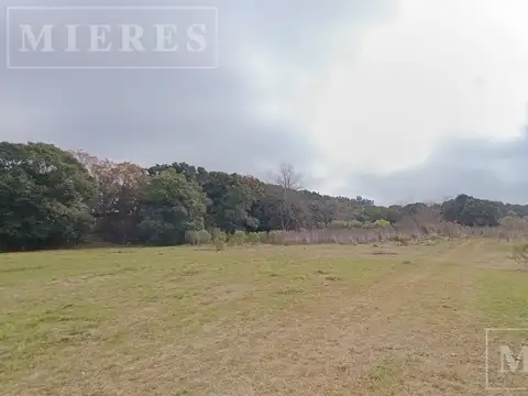 Fraccion en venta de 87.200m2 (8HA) en Loma Verde