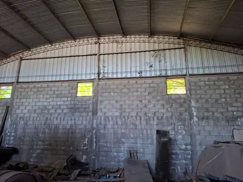 Juan Carlos Castagnino 1200