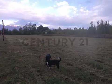 Terreno en Venta de 3700,0 m2