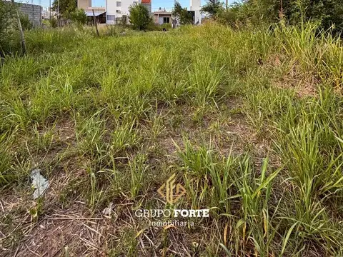 Caídos Por La Patria