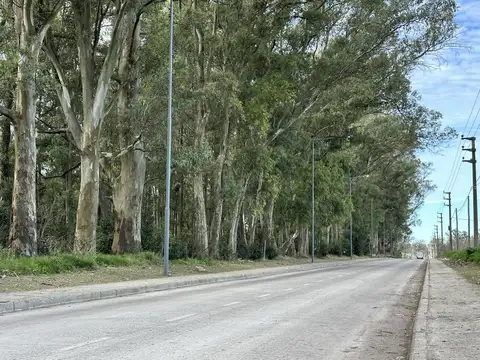 Terreno en Venta 25  mts Fondo