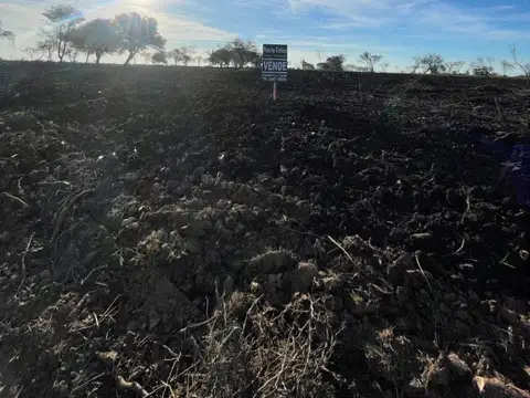 Yapeyu y los inmigrantes