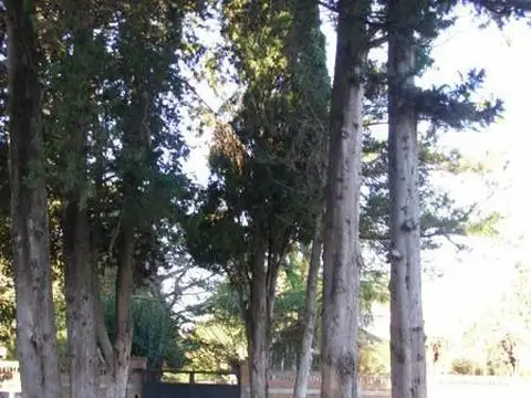 Casa en Venta en Villa Elisa, USD 350.000