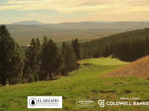 Ruta 40, San Martin de los Andes