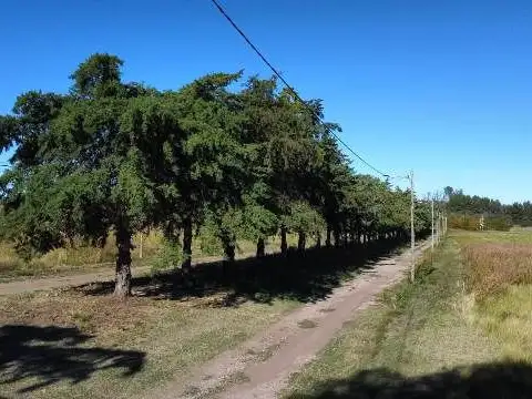 Terreno en Venta de 800,0 m2