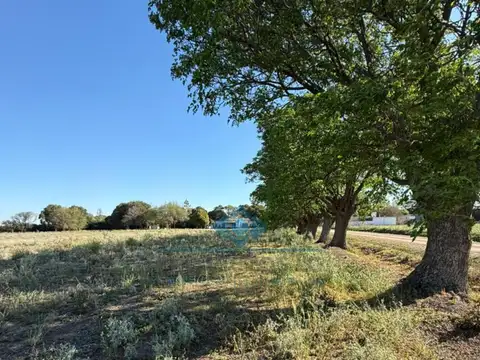 jose romanutti esquina 140