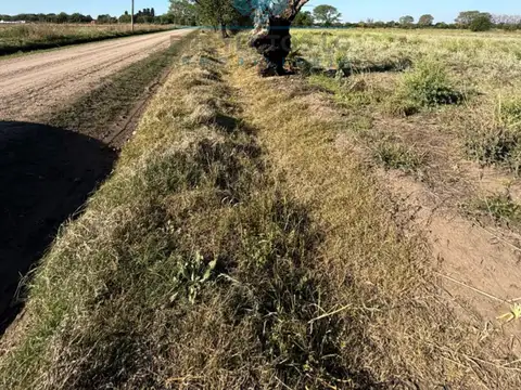 jose romanutti esquina 140