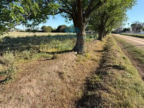 VENTA - QUINTA 2.4 HECTAREAS - COLONIA CAROYA