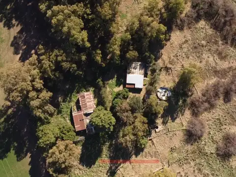 Camino San Román 100