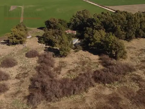 Campo de 221.58has en Venta - San Román Pcia. de Buenos Aires