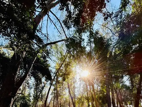 Barrio Monte Hoffmann - Parada Robles- Exaltación de la Cruz