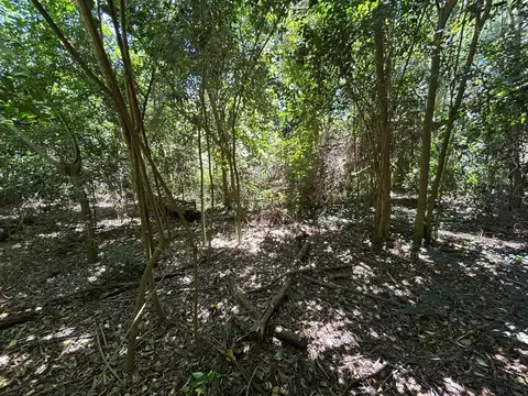 Terreno en Venta de 2962,0 m2