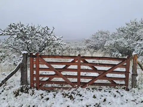 Terreno en Venta de 1250,0 m2