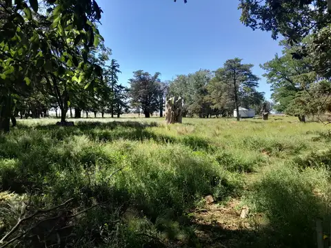 almacen ramos generales mas 12 hectareas   Peralta, Provincia de Buenos Aires, 100