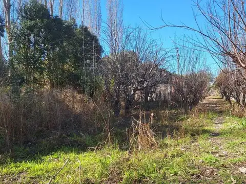 Geronimo Ruiz , Piso 0