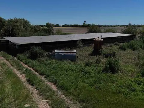 VENTA CRIADERO DE CERDO INTENSIVO. ACEPTA PERMUTA