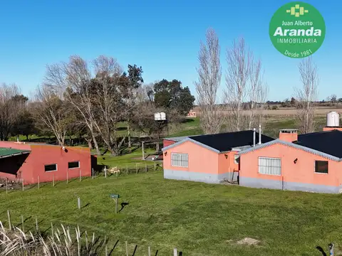 Doctor Carlos Madariaga 100