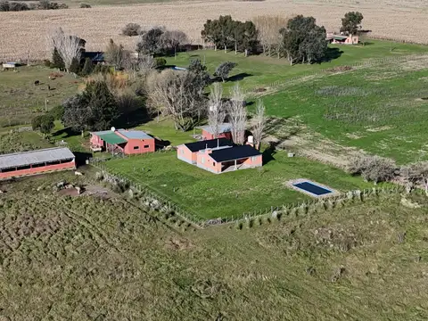 Doctor Carlos Madariaga 100