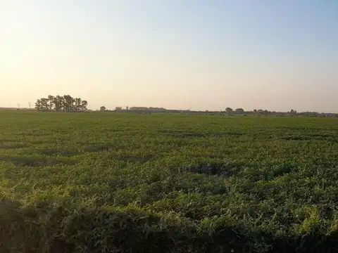 Nestor De Iriondo  3000