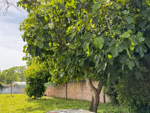 Cañuelas - Casa en Venta