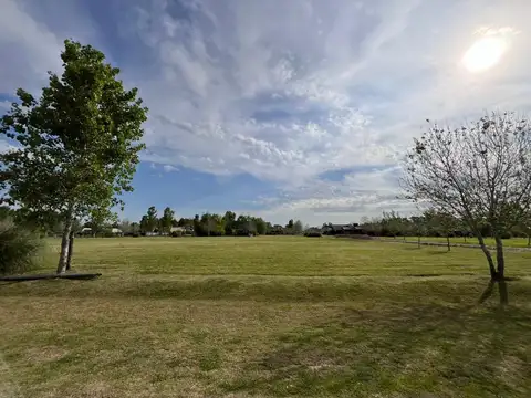 Mariano Acosta al 100