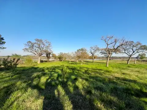 Terreno en Venta, FOT 10