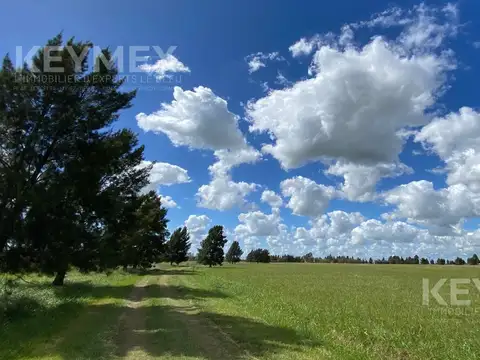 A Del Valle 1350, B1980 Coronel Brandsen, Provincia de Buenos Aires