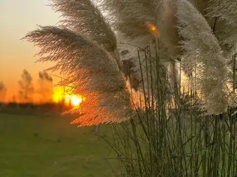 A Del Valle 1350, B1980 Coronel Brandsen, Provincia de Buenos Aires