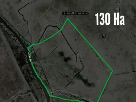 Campo en venta - 130 Hectáreas - Baradero
