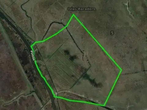 Campo en venta - 130 Hectáreas - Baradero