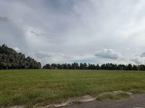 Lote  de 1678.5 m2 ETAPA 2 - Barrio PINARES Al lado del Spa y el Golf