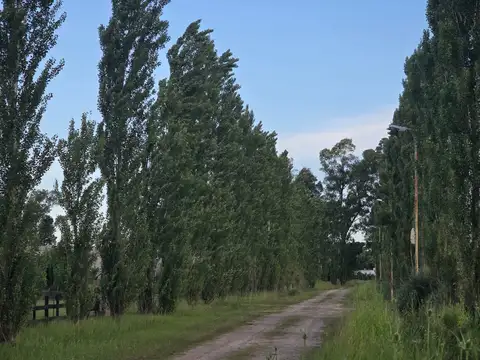 Terreno en Venta en Tomas Jofre, USD 400.000