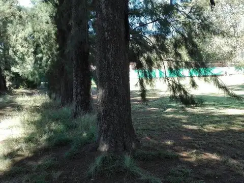 VILLA UDAONDO 3.800 M2