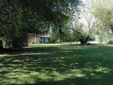 FEDERICO LELOIR Y UDAONDO