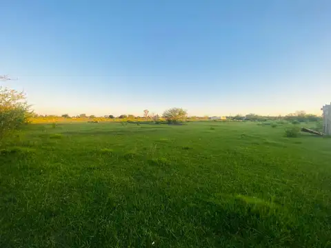 ISIDORA DE GABANCHO 100