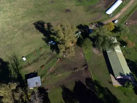 CAMPO VENTA 61 HA GENERAL RODRIGUEZ SOBRE RUTA 24